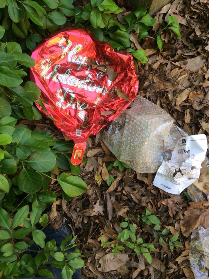 10297665_10153128512924897_7133660941101662592_n