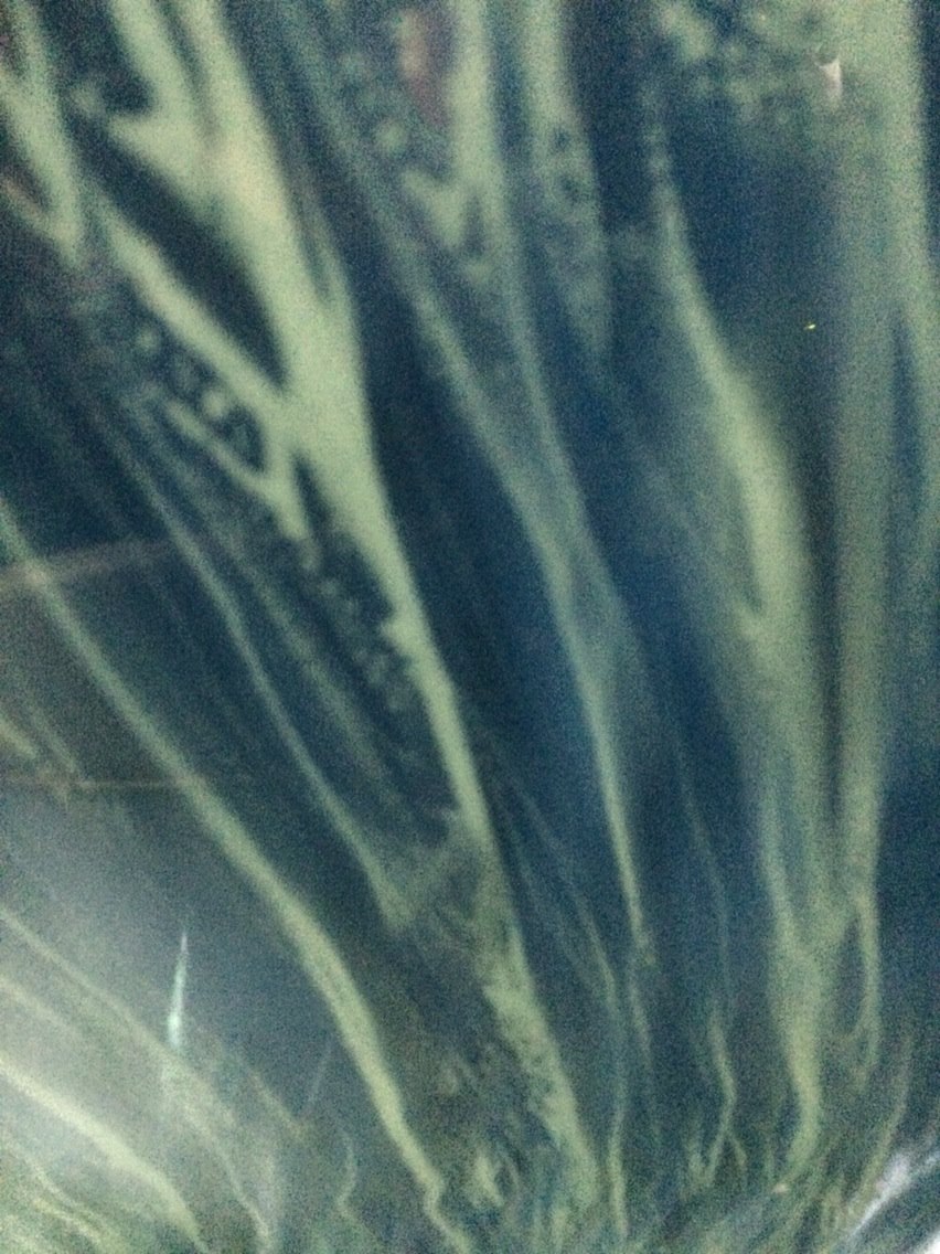 11021538_10153970384889897_5383995081210469613_o