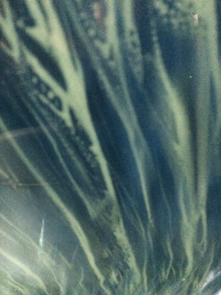 11021538_10153970384889897_5383995081210469613_o